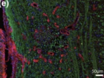 Publication Thumbnail